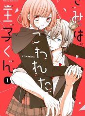 Kimi wa Kowareta Ouji-kun