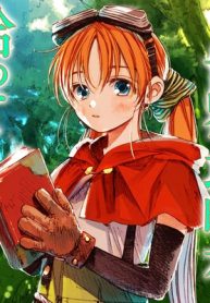 i picked this world’s strategy guide!