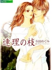 Renri no Eda