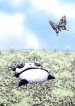 Tarepanda Goes on an Adventure
