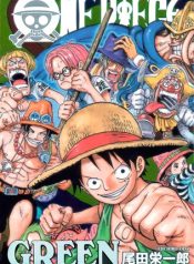 One Piece Green: Secret Pieces
