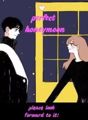 Perfect Honeymoon