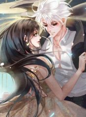 fairy and mr yin yang