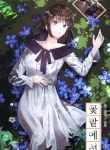 In the flowers garden